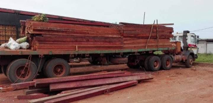 Hard Wood 5