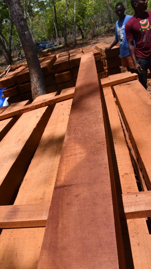 Hard Wood 6