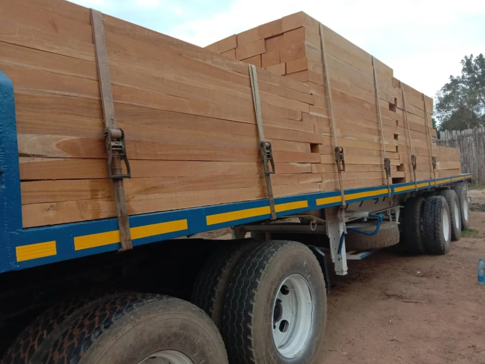 South American Teakwood